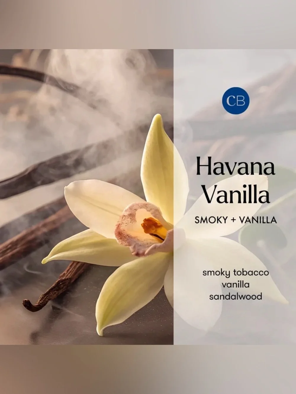 capri BLUE Havana Vanilla Black Signature Candle •19 oz•